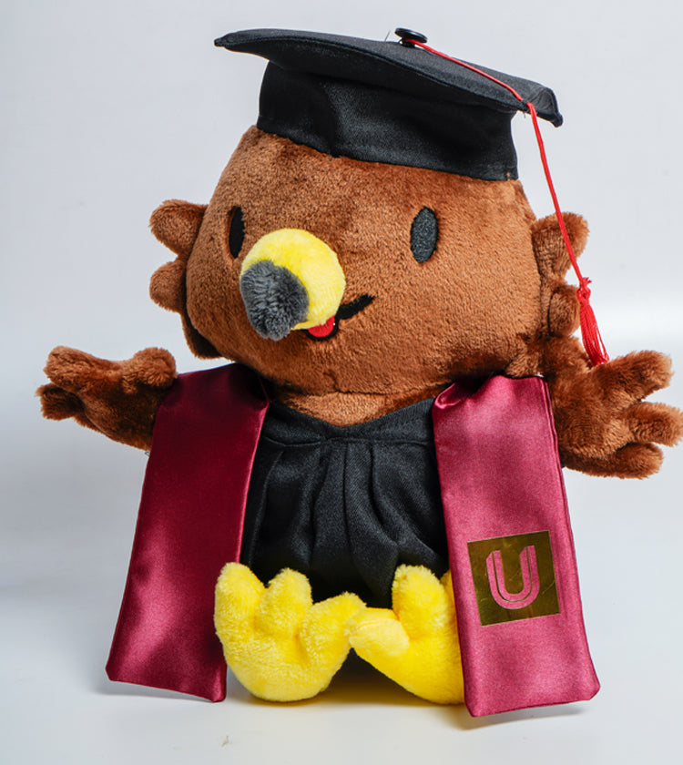 BRUMILDO GRADUADO